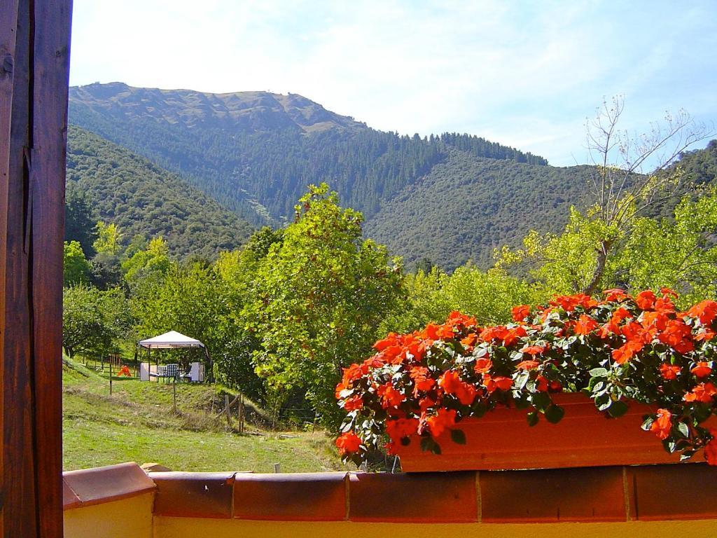 Posada El Bosque Mieses Exterior foto